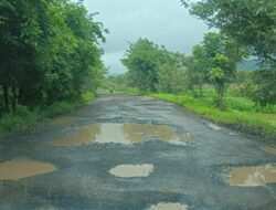 अधिकाऱ्यांच्या नाकर्तेपणामुळे नागझरी-मासवण रस्ता खड्ड्यात ; काम न करताच ठेकेदाराने काढले पैसे