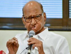 ‘तरुण नेतृत्व उभारणार, घरी बसणार नाही’, पराभवानंतर शरद पवार नव्या जोमाने कामाला लागले