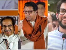 ”…असं झालं तरच काकांसोबत हातमिळवणी करणार”, आदित्य ठाकरेंकडून राज ठाकरेंना प्रस्ताव