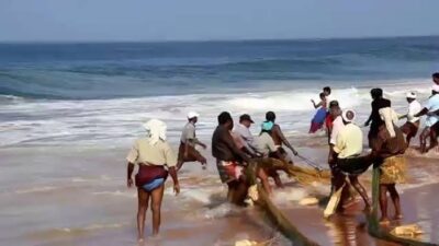 महाराष्ट्राच्या राज्य माशाचे अस्तित्व धोक्यात; ‘या’ जिल्ह्यातील किनारपट्टीवरील मासे संकटात