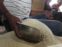मृतांच्या टाळूवरील ‘धान्य’ खाणाऱ्या पालघरमधील रेशनधारकांना चाप बसणार, अपात्र, दुबार, स्थलांतरित, मृत व्यक्तींची नावे कट करणार