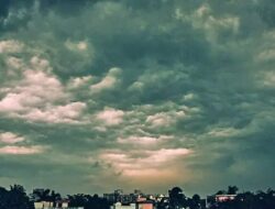 Monsoon Update : मान्सूनचा वेग वाढला!