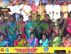 पालघरला बांबूसमृद्ध जिल्हा करणार…