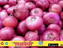 महाराष्ट्र सरकारचा मोठा निर्णय : कांदा धोरणासाठी 19 सदस्यीय समिती स्थापन