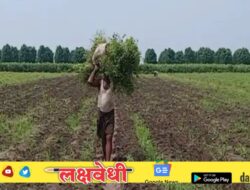 Monsoon Update: मान्सूनच्या पार्श्वभूमीवर कृषी विभागाचे शेतकऱ्यांना मोठे आवाहन, “पेरणी आणि लागवड.”