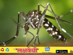 पालघरकरांना डेंग्यूचा ‘डंख’, जिल्ह्यात सहा महिन्यांत 153 रुग्ण