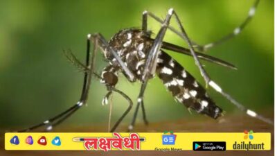 पालघरकरांना डेंग्यूचा ‘डंख’, जिल्ह्यात सहा महिन्यांत 153 रुग्ण