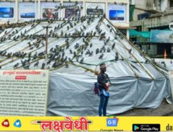 High Court Order on Dadar Kabutarkhana: हायकोर्टाचा दणका, कबुतरांना खायला घालण्यावर बंदी कायम