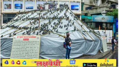 High Court Order on Dadar Kabutarkhana: हायकोर्टाचा दणका, कबुतरांना खायला घालण्यावर बंदी कायम