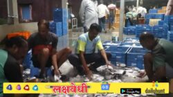 मासेमारीची पहिल्या फेरीचे उत्पादन समाधानकारक, राज्य माशाची मर्यादित वाढीमुळे मच्छीमार चिंतेत