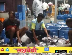 मासेमारीची पहिल्या फेरीचे उत्पादन समाधानकारक, राज्य माशाची मर्यादित वाढीमुळे मच्छीमार चिंतेत