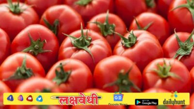 Tomato Price Hike: टॉमेटोने वाढवला सर्वसामान्यांच्या किचनचा बजेट, गेल्या 15 दिवसांत 112 टक्क्यांनी महाग; का वाढल्या किंमती?