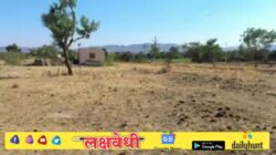 राज्यातील गायरान जमिनी वापरण्यासाठी राज्य सरकारकडून नवीन नियम जाहीर!