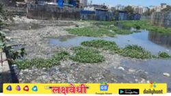 मिठी नदी स्वच्छतेसाठी ३०.८४ कोटींचे प्रस्ताव आज स्थायी समितीसमोर मंजुरीसाठी..