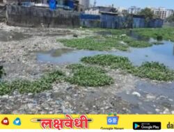 मिठी नदी स्वच्छतेसाठी ३०.८४ कोटींचे प्रस्ताव आज स्थायी समितीसमोर मंजुरीसाठी..