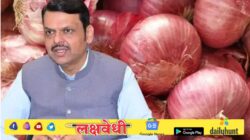 दहा लाख टन कांदा खरेदीची केंद्राकडे मागणी, सकारात्मक निर्णयाची मुख्यमंत्री फडणवीसांना अपेक्षा