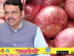 दहा लाख टन कांदा खरेदीची केंद्राकडे मागणी, सकारात्मक निर्णयाची मुख्यमंत्री फडणवीसांना अपेक्षा