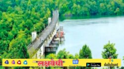 मुंबईची तहान भागवण्यासाठी ३,१०,४१० वृक्षांचा, असंख्य पक्षी, प्राणी व जैवविविधतेचा बळी…