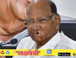 मोठी घडामोड..! शरद पवारांचे विश्वासू ३ आमदार भाजप प्रदेशाध्यक्षांच्या भेटीला; चर्चाना उधाण