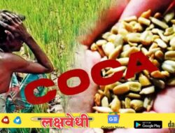 बोगस बियाणे-खत विक्रेत्यांवर मकोका? पावसाळी अधिवेशनात विधानसभेत घडलं काय? बळीराजाची फसवणूक थांबणार?
