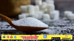 साखर खरेदी करणाऱ्यांसाठी महत्त्वाची बातमी! 1 सप्टेंबरपासून लागू होणार नवा नियम