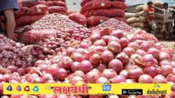 केंद्र सरकारच्या निर्णयाने कांद्याच्या दरात घसरण; बाजारात कांदा स्वस्त होणार?