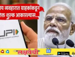 UPIवरील त्या निर्णयानंतर सामान्यांची लूट थांबवण्यासाठी केंद्राची तडकाफडकी बैठक, नेमकं काय ठरलं?
