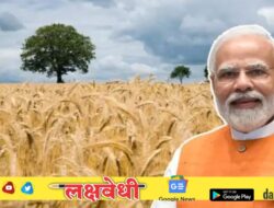 मोदी सरकारचा मोठा निर्णय, गहू आणि हरभऱ्यासह 6 पिकांच्या किंमतीत मोठी वाढ